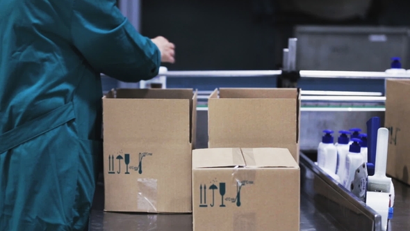 Worker Takes the Bottles From the Conveyor Belt and Puts Them in a Box alt