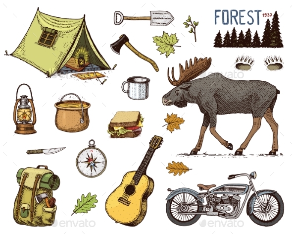Camping Equipment Set - Sports/Activity Conceptual