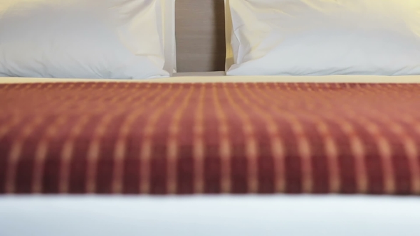 Pillows on a Large King-size Bed alt