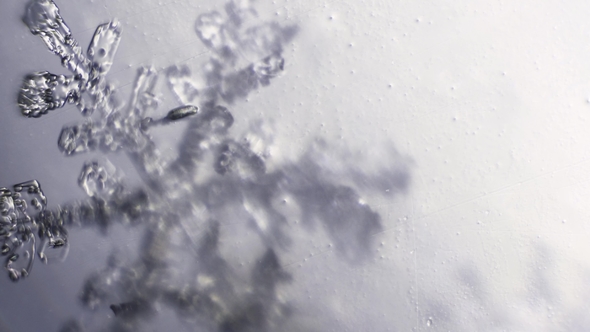 Rack Focusing Across Crystal Branches of Snowflake