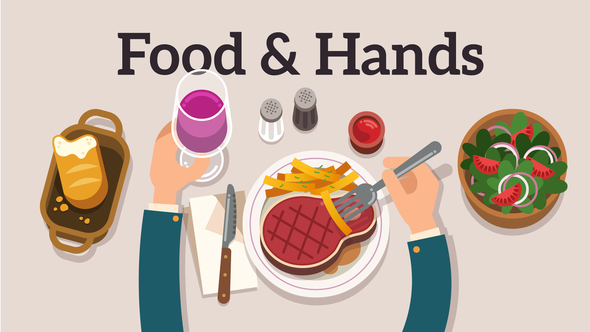FoodHands Explainer - VideoHive 11101923