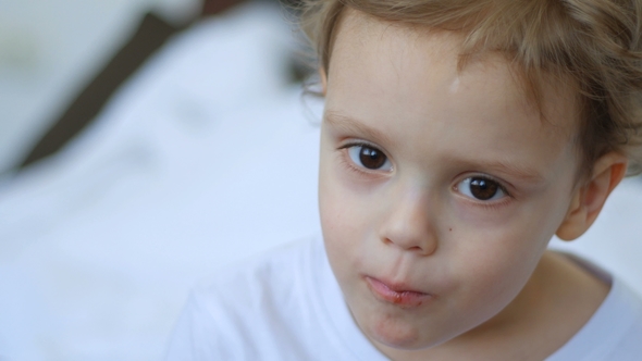 A Little Boy Eating a Cookie