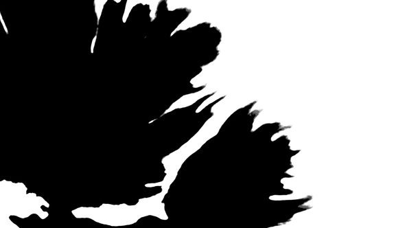 Beautiful White Watercolor Ink Drops Transition on Black Background, Paint Bleed Bloom, with Circle alt