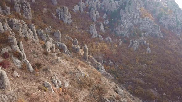 Aerial Shot Of Idyllic Landscape Against Clear Sky During Autumn Drone Flying Downward Over Trees alt