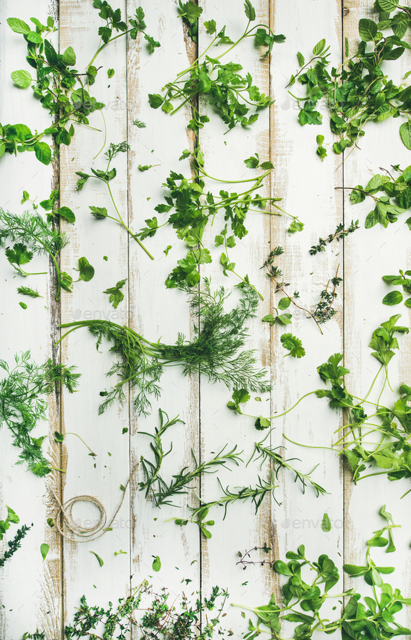Various fresh green kitchen herbs for healthy cooking - Stock Photo - Images