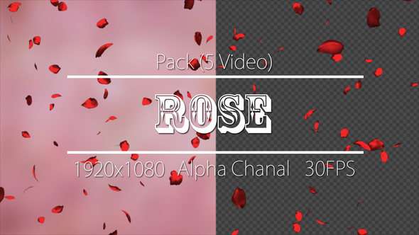 Rose alt