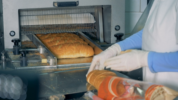 Worker Puts Sliced Loaf Into a Cellophane Package. alt