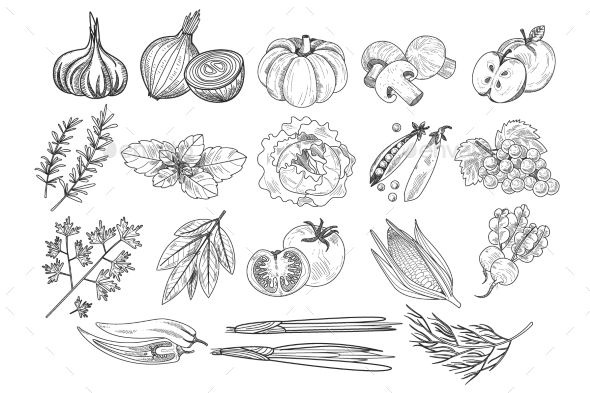 Vector Set of Fruits, Vegetables and Herbs - Food Objects