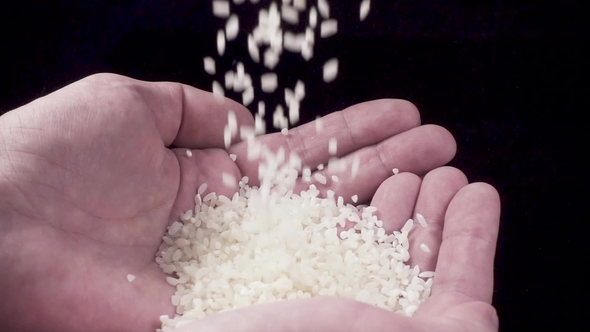 Rice Is Poured Into Hands