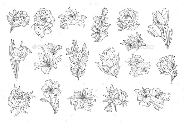 Set of Monochrome Flowers - Flowers & Plants Nature