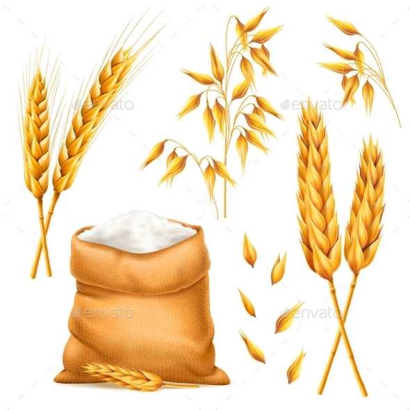 Realistic Bunch of Wheat, Oats or Barley with Bag - Food Objects