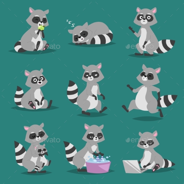 Raccoon Vector Illustration Cartoon Set - Animals Characters