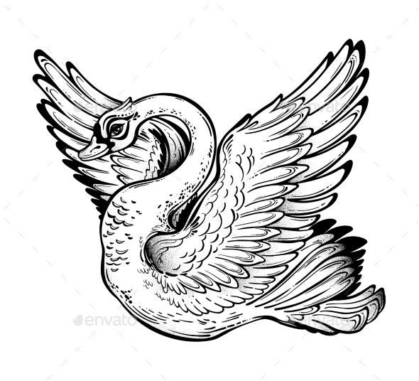 Swan Bird with Open Wings. - Animals Logo Templates