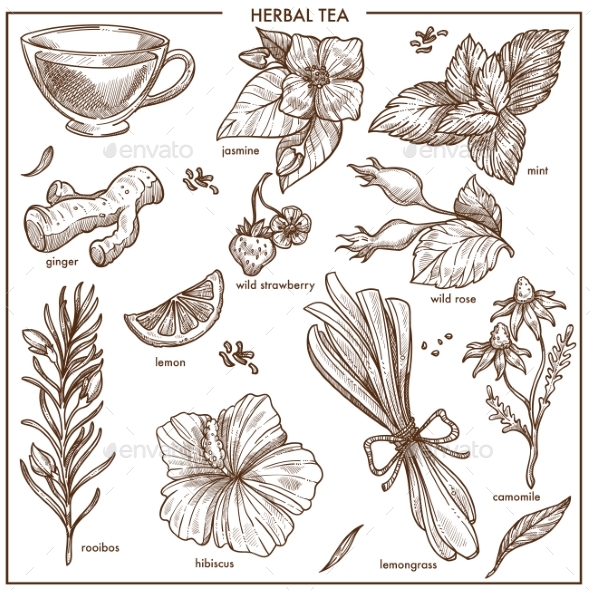 Herbal Tea Natural Ingredients Isolated Monochrome - Food Objects