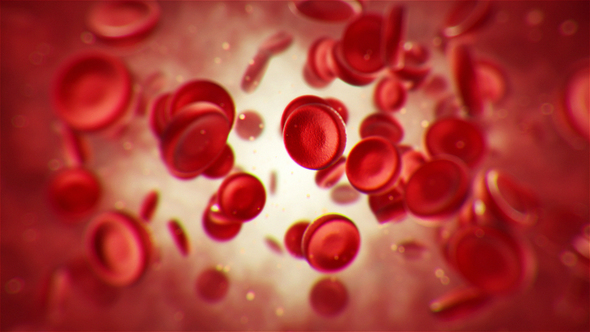 Red Blood Cell Background by voxeldesign | VideoHive