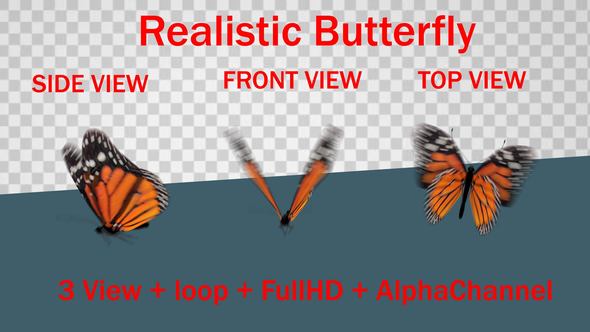 Realistic Butterfly Loop