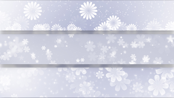 White Flower Backgrounds