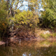 Trees Over a Pond in Autumn day Trees Over a Pond in Autumn day - VideoHive Item for Sale