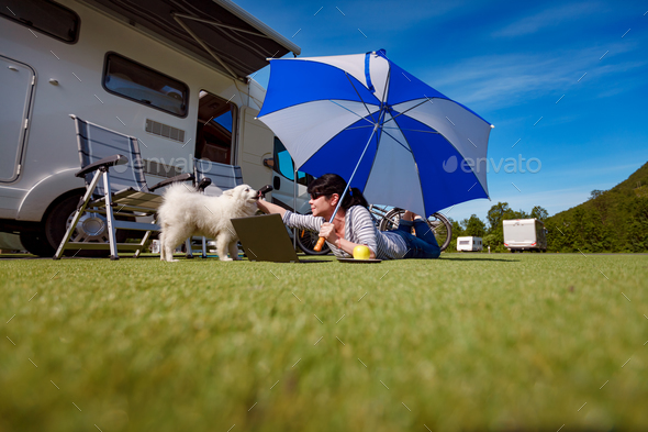 Woman on the grass with a dog looking at a laptop - Stock Photo - Images