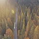 Truck Driving on Forested Road Truck Driving on Forested Road - VideoHive Item for Sale