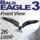 Bald Eagle-3 Front View - VideoHive Item for Sale