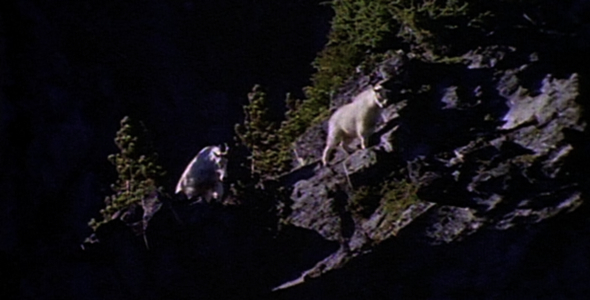 Mountain Goats: Sequence