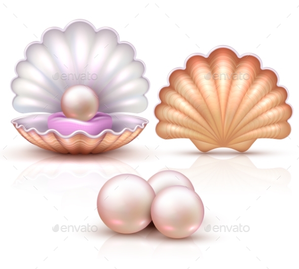 Opened and Closed Seashells with Pearls Isolated - Organic Objects Objects