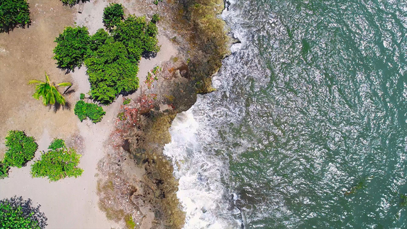 Sea Coast From Drone