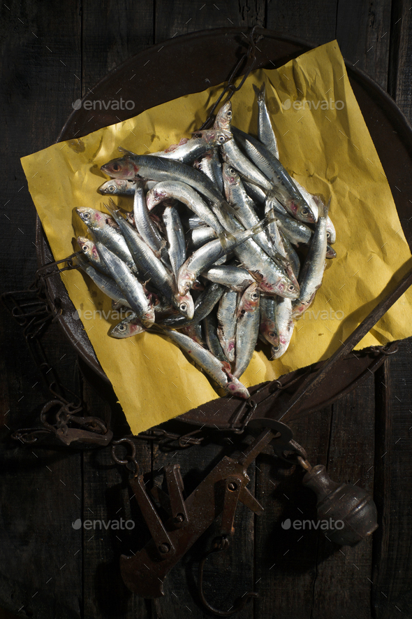 Raw anchovies in a flat scale Stock Photo by fotografiche | PhotoDune
