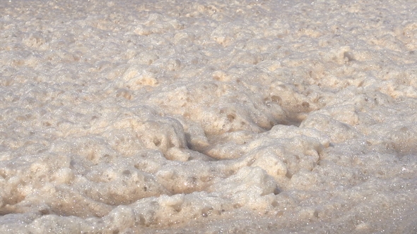 Foam on the Water Surface, Moves Under the Influence of Wind alt