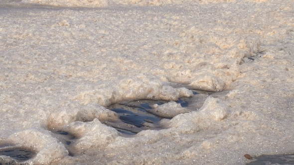 Foam on the Water Surface, Moves Under the Influence of Wind, Stock Footage