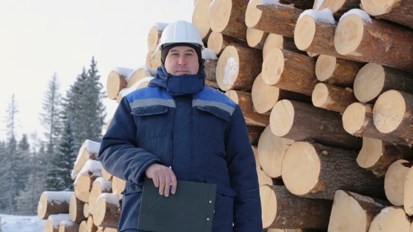 Worker With Tablet Against Pile of Logs