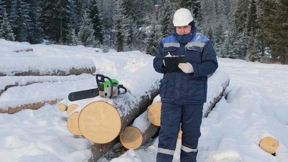 Worker With Tablet Near Pile of Logs in the Forest