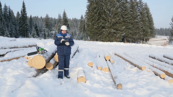 Worker With Tablet Near Pile of Logs in the Forest