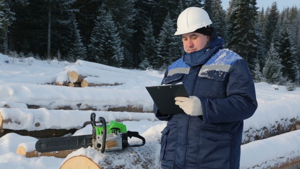 Worker With Tablet Near Pile of Logs in the Forest