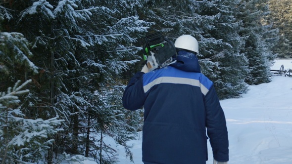 Worker With Chain Saw on Shoulder Going to the Forest