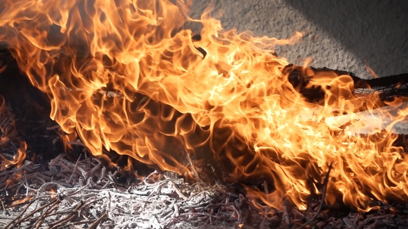 Profile View of Calzots Over Grille alt