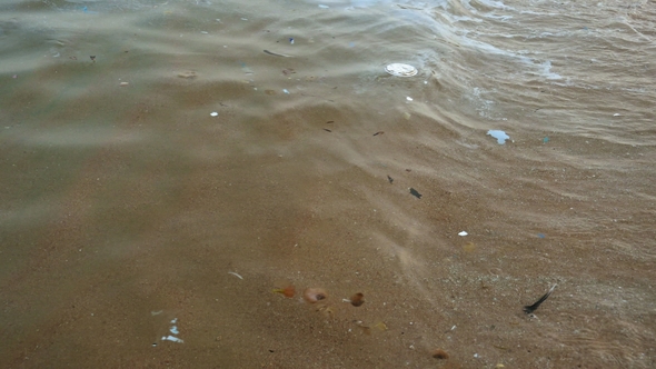 Dirty Polluted Water at the Seashore