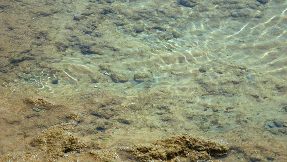 Sea Bottom Under the Clear Water