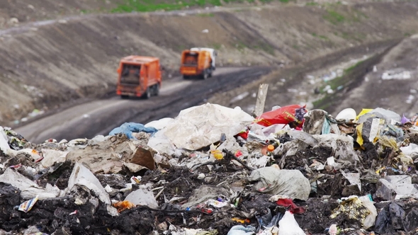 Garbage Trucks Going to the City Dump alt