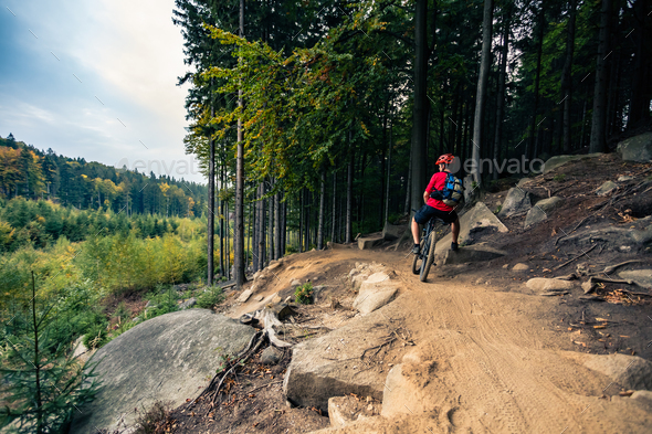 Mountain biker riding cycling in autumn forest - Stock Photo - Images