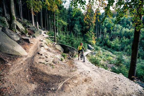 Mountain biker riding cycling in autumn forest - Stock Photo - Images