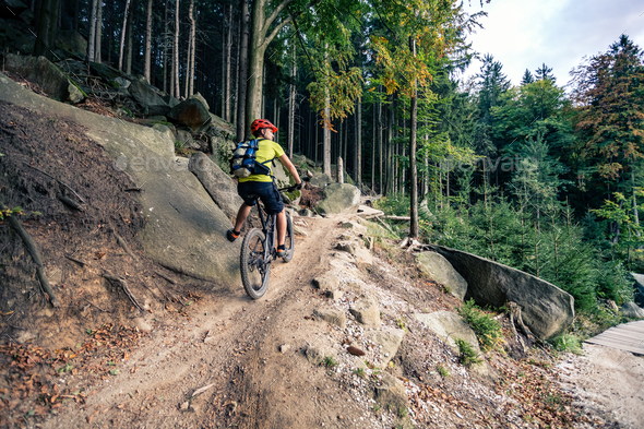 Mountain biker riding cycling in autumn forest - Stock Photo - Images