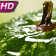Drops of Water Crashing on Watermelon - VideoHive Item for Sale
