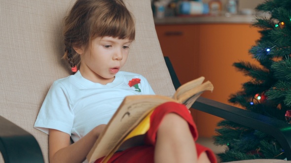 Small Girl Reading a Book in Front of Christmas Tree