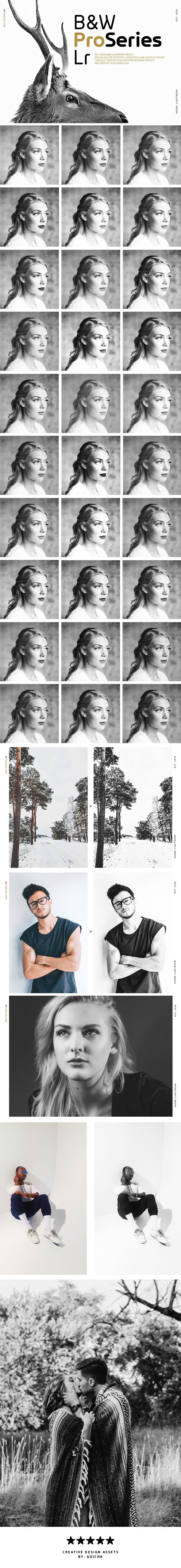 Black and White ProSeries Lr - Lightroom Presets Add-ons