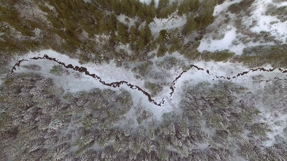 Flight Above Winter Forest on the North