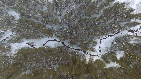 Flight Above Winter Forest on the North, Aerial