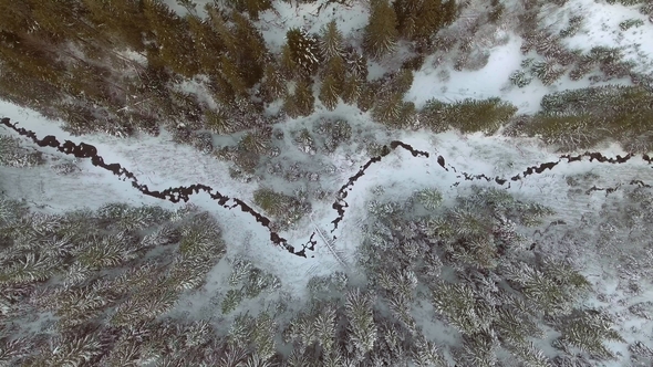 Footage. Flight Above Winter Forest on the North, Aerial Top View.