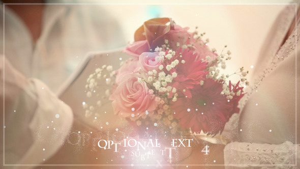 Wedding Pages - VideoHive 1666533
